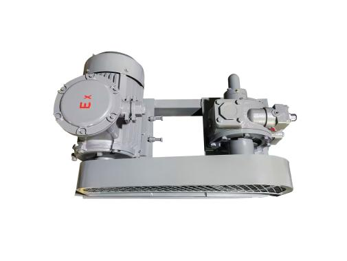 LPG vane pump