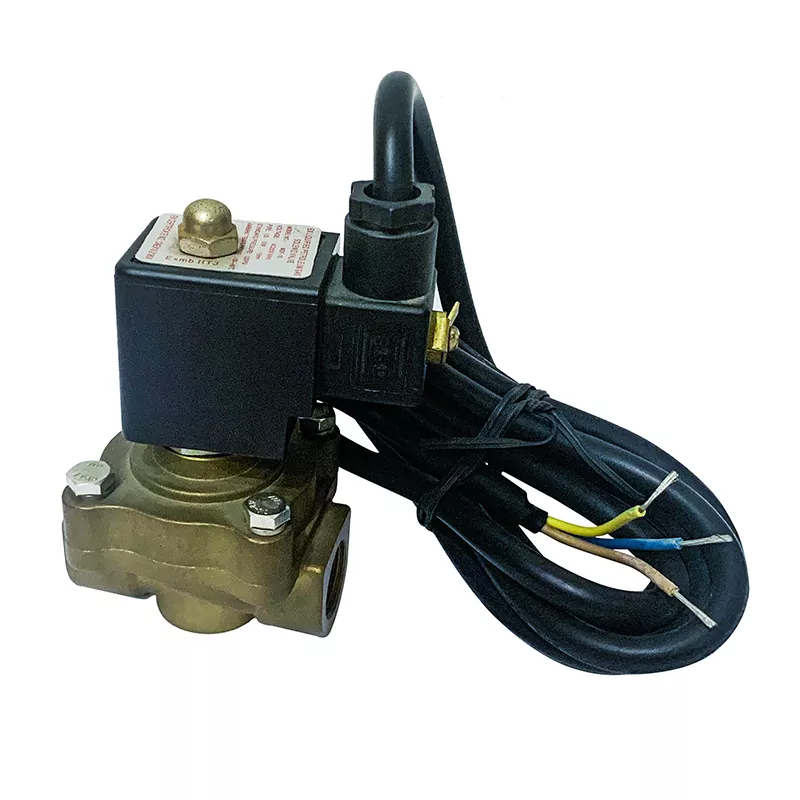 Válvula solenoide de dispensador de LPG de flujo único